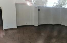 Spatiu comercial 120 mp la artera intens circulata