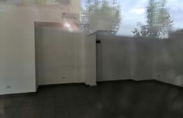 Spatiu comercial 120 mp la artera intens circulata