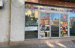 Spatiu comercial 120 mp la artera intens circulata