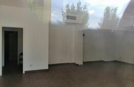 Spatiu comercial 120 mp la artera intens circulata