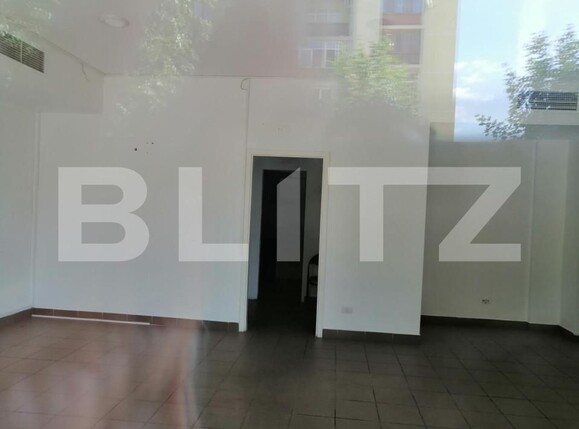 Spațiu comercial de vânzare Baba-Dochia - 140460SVC | BLITZ Timișoara | Poza2