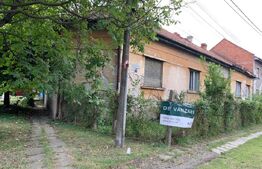 Casa cu 2 apartamente in Blascovici