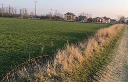 Teren extravilan, 5000 mp, langa parcul dendrologic, Bazosul Nou!