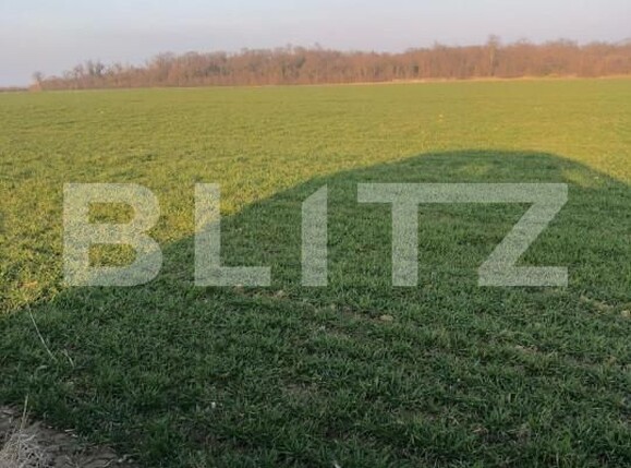 Teren de vânzare Exterior Est - 140469TV | BLITZ Timișoara | Poza2