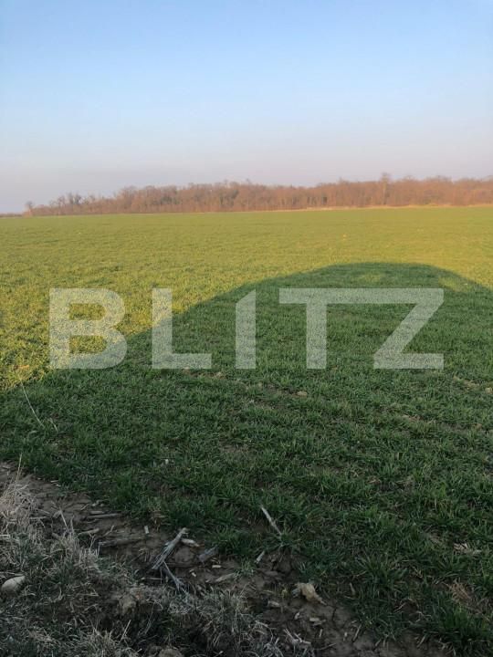 Teren de vânzare Exterior Est - 140469TV | BLITZ Timișoara | Poza2