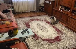 Apartament 3 camere, decomandat, parter inalt, Zona Lipovei