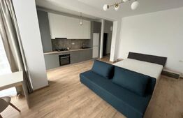 Apartament cu o camera, 36 mp, etajul 1, mobilat, utilat, Zona Torontalului
