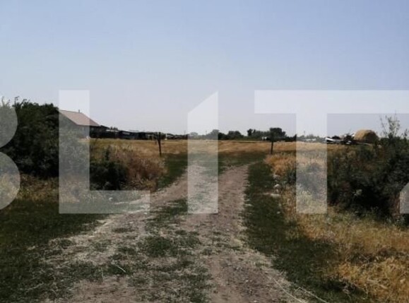 Teren de vânzare Torontalului - 140489TV | BLITZ Timișoara | Poza1