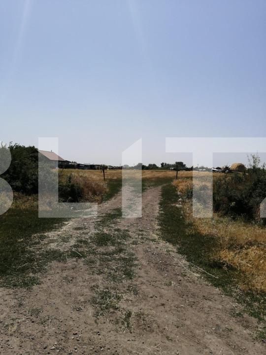 Teren de vânzare Torontalului - 140489TV | BLITZ Timișoara | Poza1