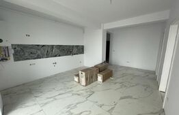 Apartament cu 2 camere, etaj intermediar,Braytim