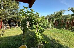 Casa individuala, 3 camere, 70mp, nemobilata, zona Lipovei