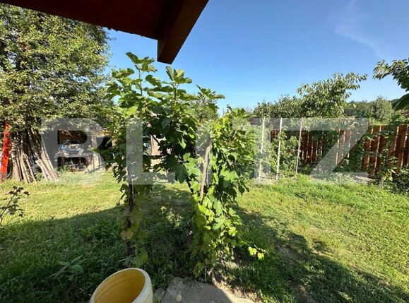 Casa de închiriat 3 camere Lipovei - 140510CI | BLITZ Timișoara | Poza9