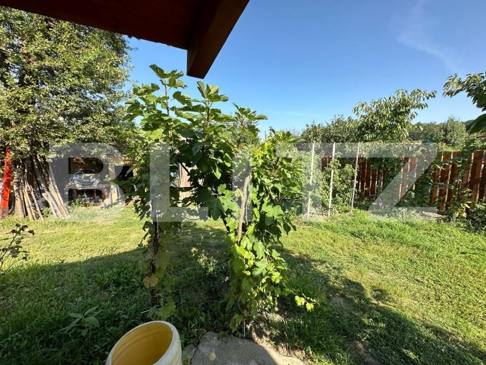 Casa de închiriat 3 camere Lipovei - 140510CI | BLITZ Timișoara | Poza9