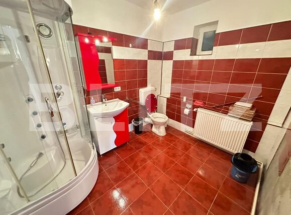 Casa de închiriat 6 camere Balcescu - 140511CI | BLITZ Timișoara | Poza4