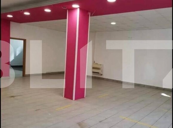 Spațiu comercial de închiriat Bogdanestilor - 140512SIC | BLITZ Timișoara | Poza3