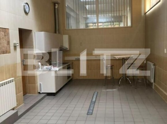 Spațiu comercial de închiriat Olimpia-Stadion - 140517SIC | BLITZ Timișoara | Poza4