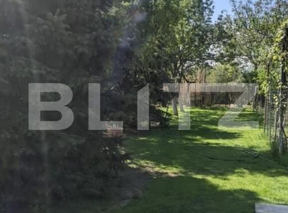 Spațiu industrial de vânzare Mehala - 140519SVI | BLITZ Timișoara | Poza5