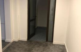 Cladire istorica in zona pietonala, 780 mp! Timisoara!