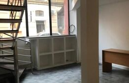 Cladire istorica in zona pietonala, 780 mp! Timisoara!