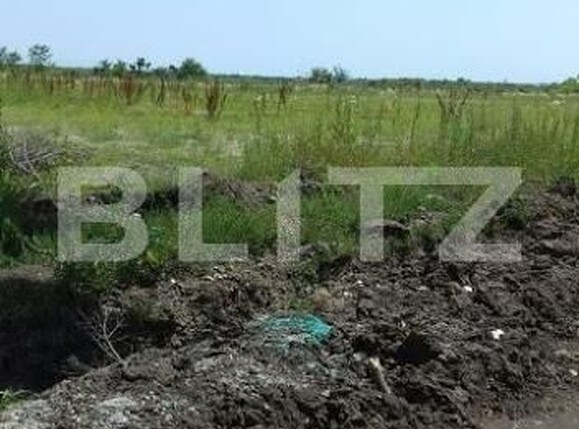 Teren de vânzare Aeroport - 140528TV | BLITZ Timișoara | Poza6