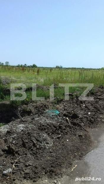 Teren de vânzare Aeroport - 140528TV | BLITZ Timișoara | Poza6