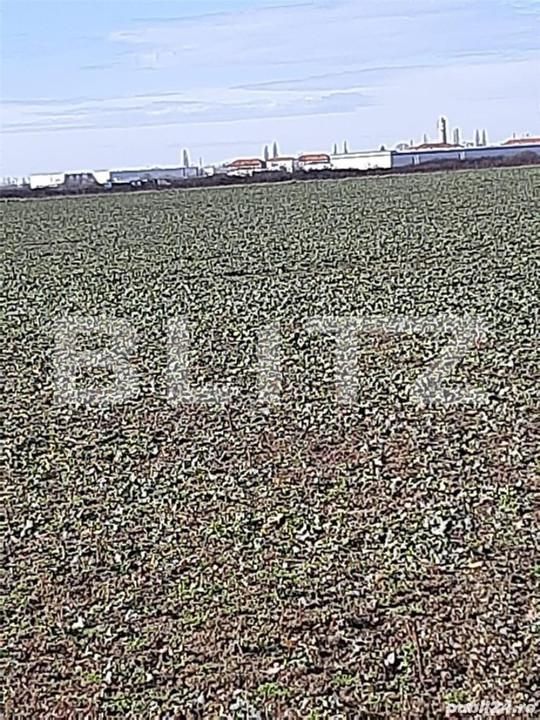 Teren de vânzare Aeroport - 140528TV | BLITZ Timișoara | Poza7