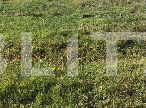 Teren de vânzare Exterior Sud - 140531TV | BLITZ Timișoara | Poza2