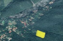 Teren cu suprafață de 40.429 mp la Crivaia, Lacul Văliug!