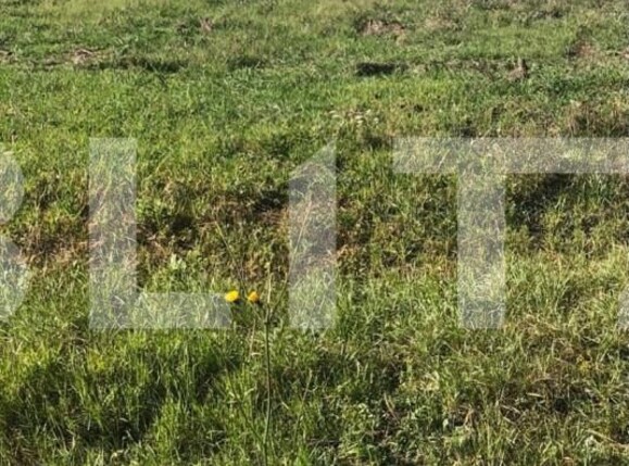 Teren de vânzare Exterior Sud - 140543TV | BLITZ Timișoara | Poza1