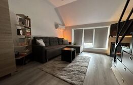 Apartament semidecomandat, 2 camere, 37 mp, zona Lipovei 