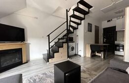Apartament semidecomandat, 2 camere, 37 mp, zona Lipovei 
