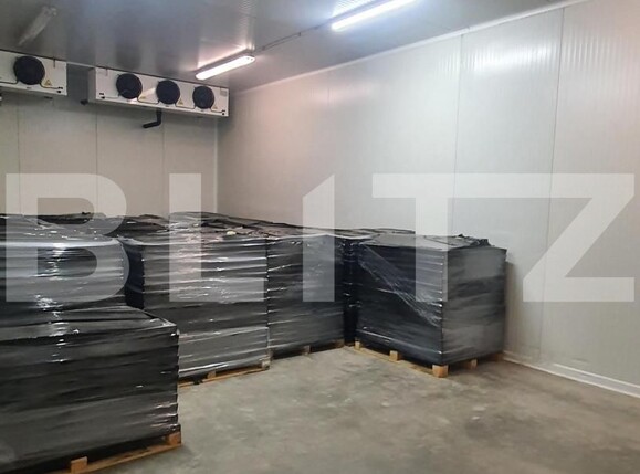 Spațiu industrial de vânzare Freidorf - 140551SVI | BLITZ Timișoara | Poza5