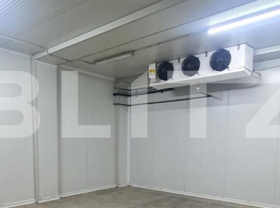 Spațiu industrial de vânzare Freidorf - 140551SVI | BLITZ Timișoara | Poza4