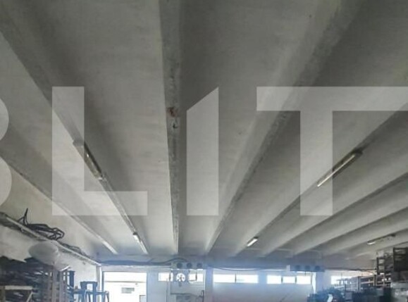 Spațiu industrial de vânzare Freidorf - 140551SVI | BLITZ Timișoara | Poza3