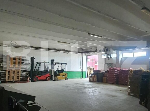Spațiu industrial de vânzare Freidorf - 140551SVI | BLITZ Timișoara | Poza2