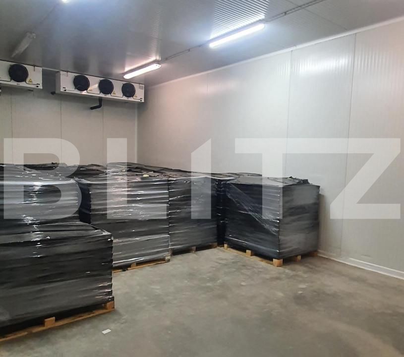 Spațiu industrial de vânzare Freidorf - 140551SVI | BLITZ Timișoara | Poza5