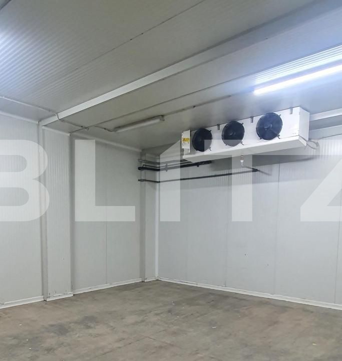 Spațiu industrial de vânzare Freidorf - 140551SVI | BLITZ Timișoara | Poza4