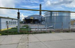  Fosta fabrica de dulciuri, 15533 mp, Freidorf