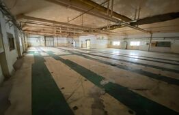  Fosta fabrica de dulciuri, 15533 mp, Freidorf