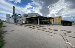  Fosta fabrica de dulciuri, 15533 mp, Freidorf