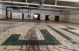  Fosta fabrica de dulciuri, 15533 mp, Freidorf