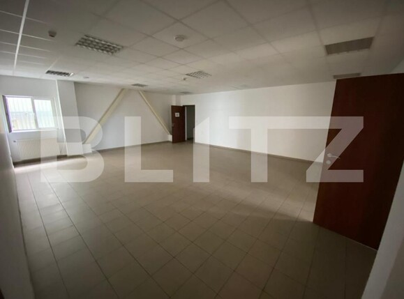 Spațiu industrial de vânzare Freidorf - 140556SVI | BLITZ Timișoara | Poza11