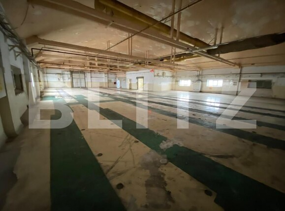 Spațiu industrial de vânzare Freidorf - 140556SVI | BLITZ Timișoara | Poza8