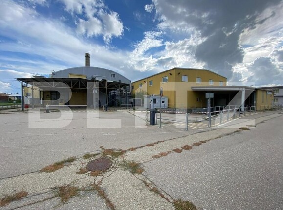 Spațiu industrial de vânzare Freidorf - 140556SVI | BLITZ Timișoara | Poza11