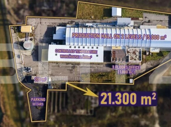 Spațiu industrial de vânzare Freidorf - 140556SVI | BLITZ Timișoara | Poza4