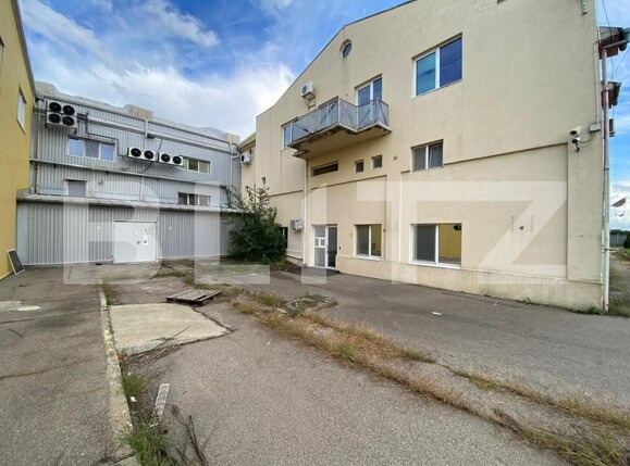 Spațiu industrial de vânzare Freidorf - 140556SVI | BLITZ Timișoara | Poza19