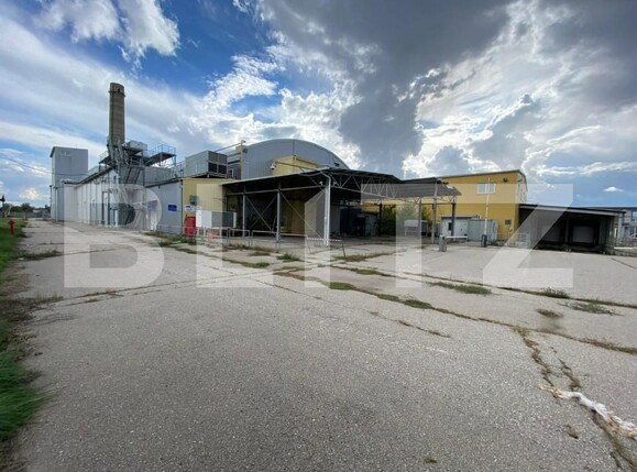 Spațiu industrial de vânzare Freidorf - 140556SVI | BLITZ Timișoara | Poza1