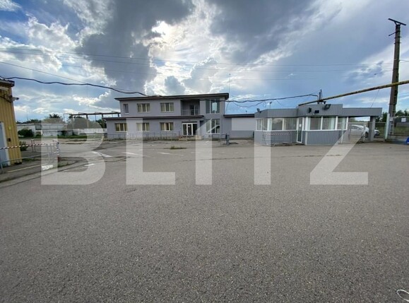 Spațiu industrial de vânzare Freidorf - 140556SVI | BLITZ Timișoara | Poza4