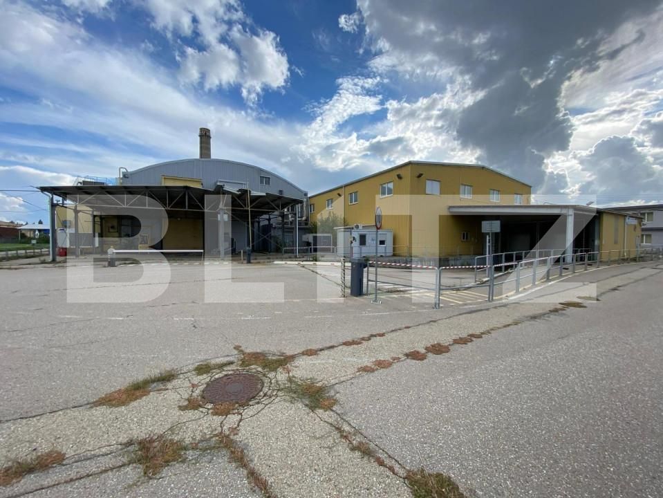 Spațiu industrial de vânzare Freidorf - 140556SVI | BLITZ Timișoara | Poza11