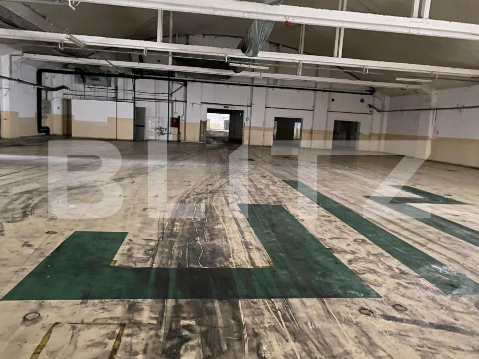 Spațiu industrial de vânzare Freidorf - 140556SVI | BLITZ Timișoara | Poza6